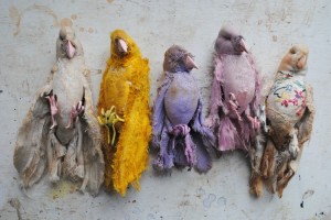 textile-birds-small