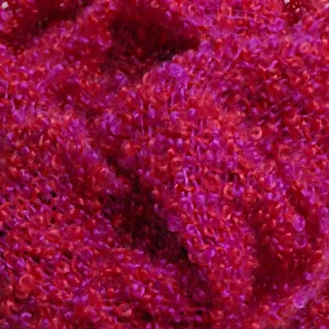Hot Fuschia Scarf